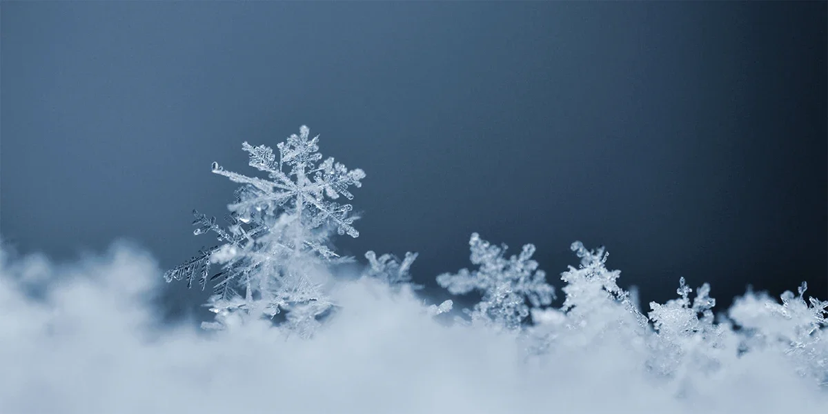 بزرگ‌نمایی دانه برف با تصویربرداری ماکرو در عکستو